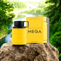 ARMAF ODYSSEY MEGA HOMBRE 60 ML EDP (OFERTA 2 X PROMOCION)