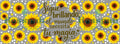 TAZA FP FLORES 10