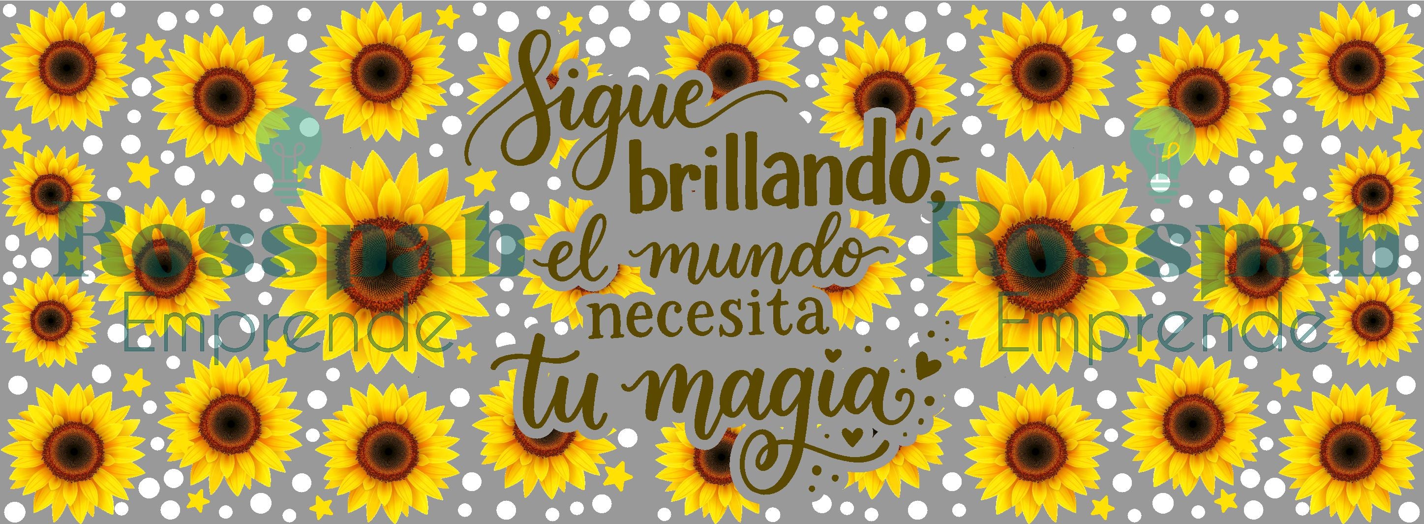 TAZA FP FLORES 10
