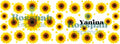 TAZA FP FLORES 2