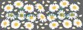 TAZA FP FLORES 4