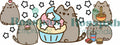 TAZA FP GATOS 12