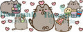 TAZA FP GATOS 14