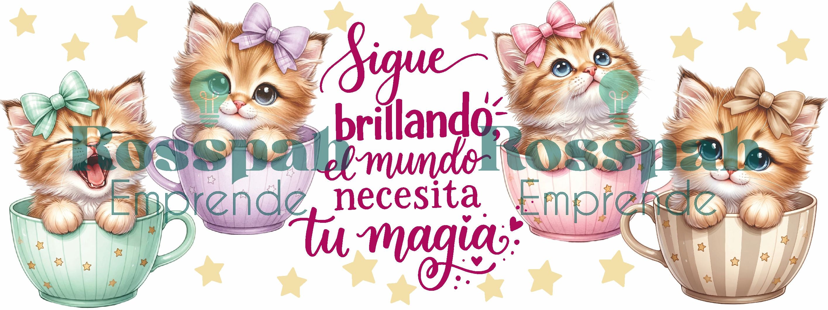 TAZA FP GATOS 15
