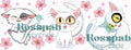 TAZA FP GATOS 7