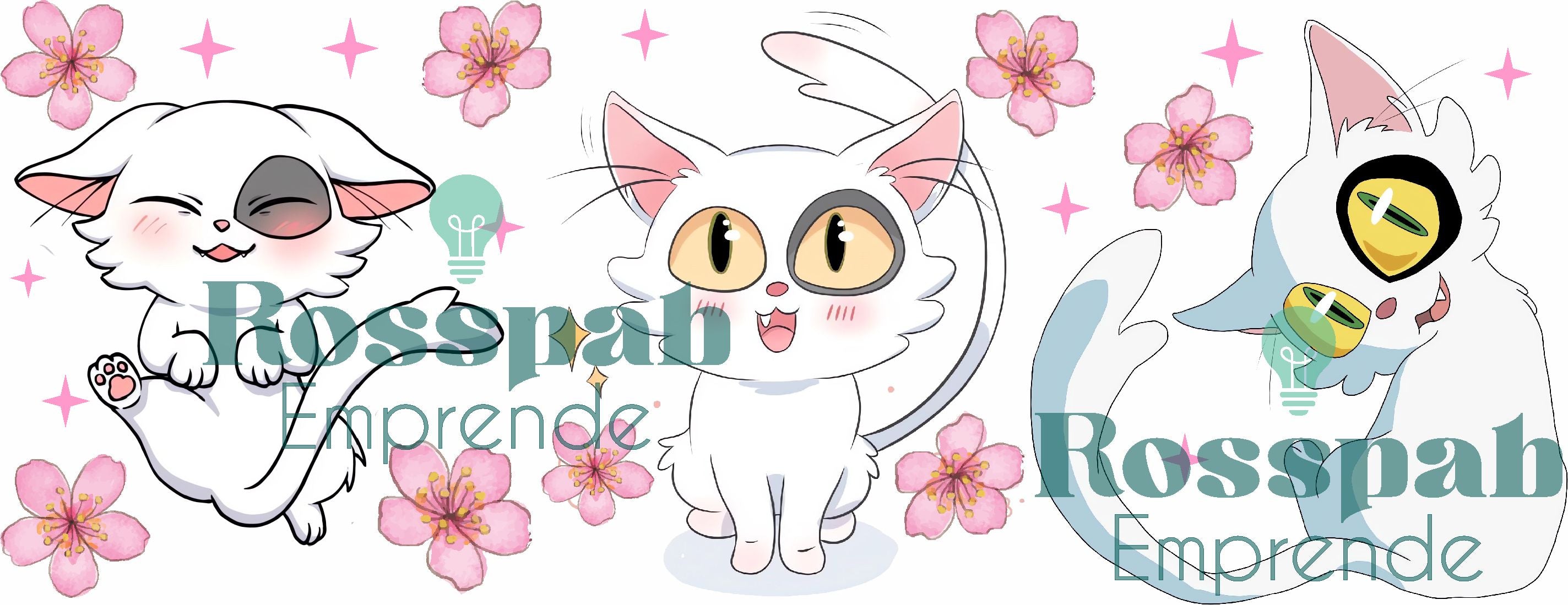TAZA FP GATOS 7