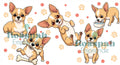 TAZA FP PERRO CHIHUAHUA 1
