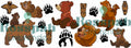 TAZA FP TIERRA DE OSOS 1